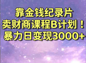 靠金钱纪录片卖财商课程B计划！暴力日变现3000+，喂饭式干货教程！-鸿瑞通网创