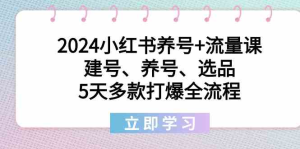 个人IP底层逻辑课：年入千万10新技能 编导能力/拍剪能力/口播表达能力等149节完整-鸿瑞通网创